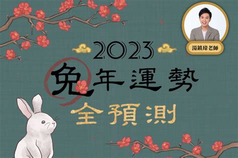 2023 豬|2023兔年運勢全預測／湯鎮瑋：生肖豬今年事業前程看好，財運。